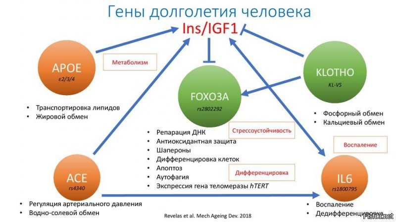 Солянка от 29.08.2020