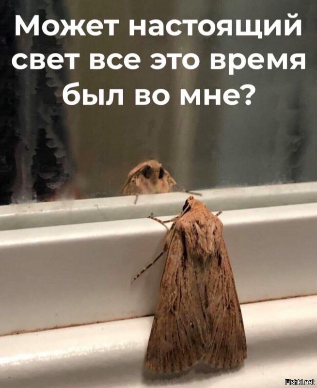 Солянка от 29.08.2020
