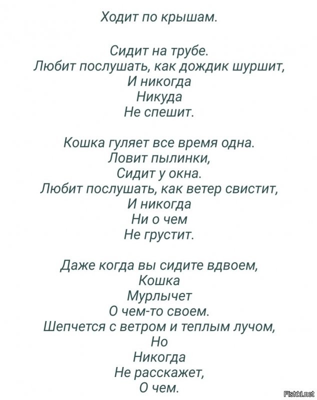 Солянка от 29.08.2020