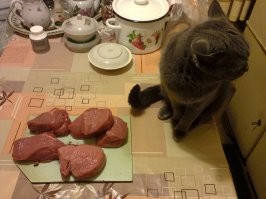 Прикольные и смешные картинки