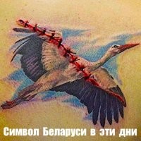 Путин заявил о создании резерва силовиков для Белоруссии