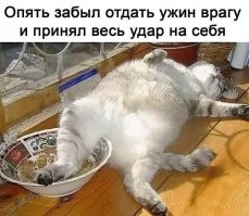 Прикольные и смешные картинки