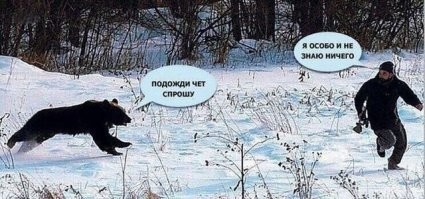 Прикольные и смешные картинки