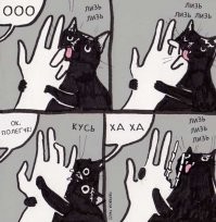 коротко о кошках,: