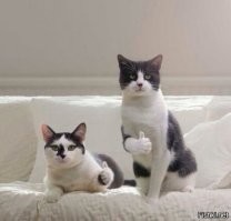 Механик-вредитель гордо, но не вовремя захлопнул люк