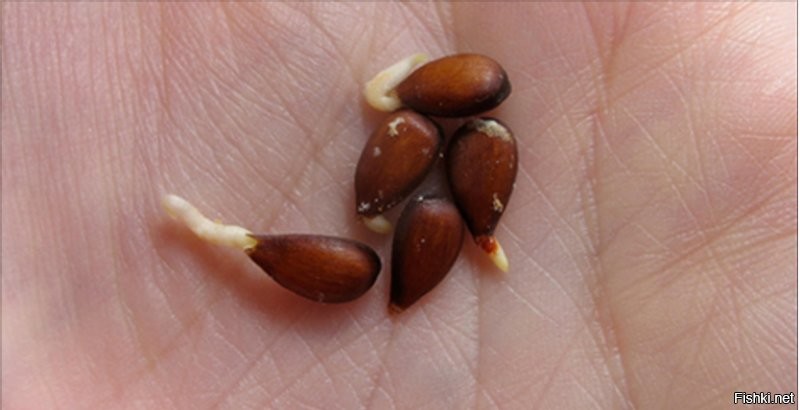 Тем временем на марсе