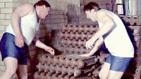 Прикольные и смешные картинки