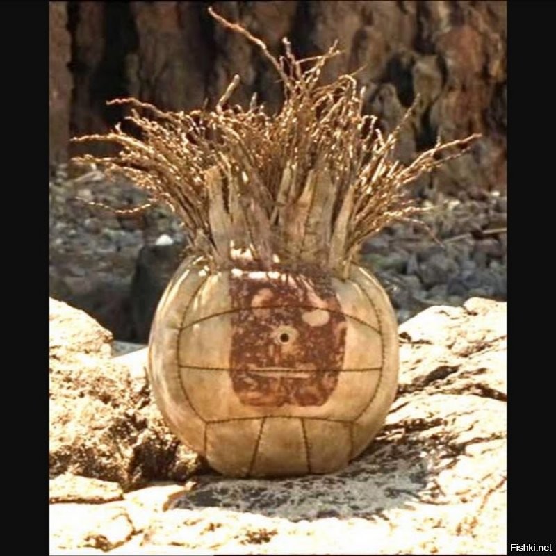 Солянка от 30.08.2020