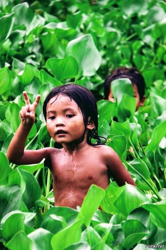 Солянка от 30.08.2020