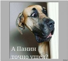 Прикольные и смешные картинки