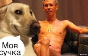 Прикольные и смешные картинки