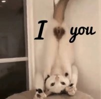 Он к вам с любовью