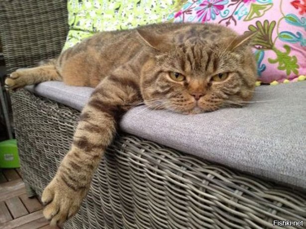 мужские и так всё знают!