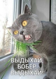 Мудрая притча о смерти