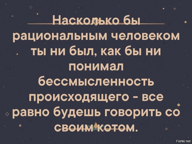 Солянка от 30.08.2020