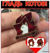 Прикольные и смешные картинки