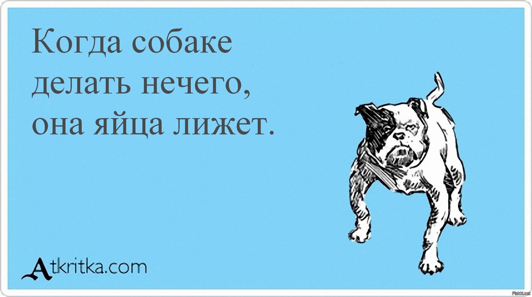 Из шутки гаишника незачем делать далеко идущих выводов