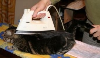 Если Вы случайно выпили ПРОЯВИТЕЛЬ, выпейте заодно и ЗАКРЕПИТЕЛЬ- во всём надо быть последовательным!