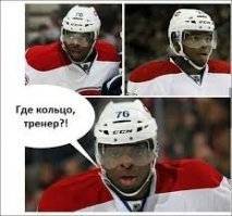 НХЛ  толерантность во всем