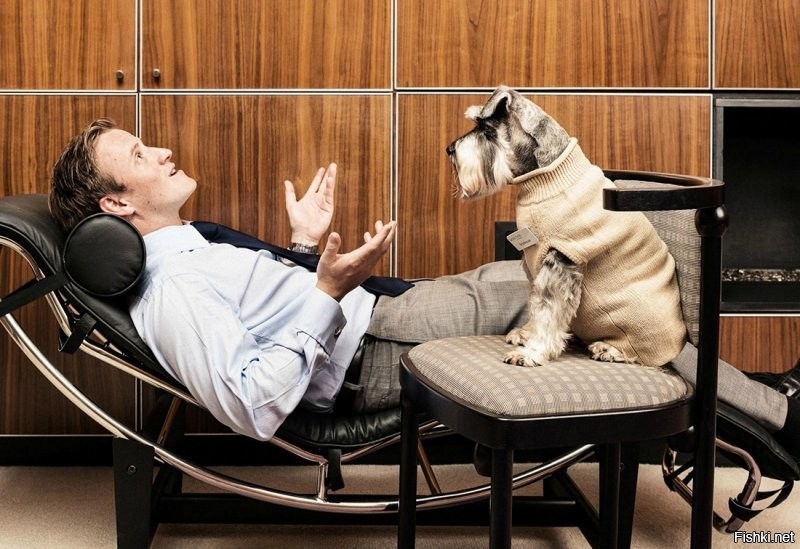 Солянка от 30.08.2020