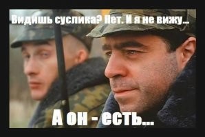 Полное слияние: бодиарт-художник идеально вписывает раскрашенных женщин в пейзаж