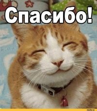 Сломанные зубы, травмированный глаз и суровое прошлое не помеха любви с первого взгляда
