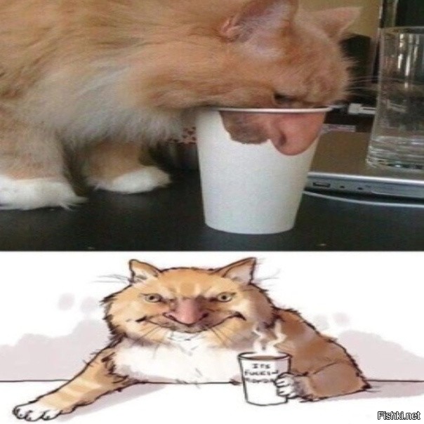 Солянка от 30.08.2020