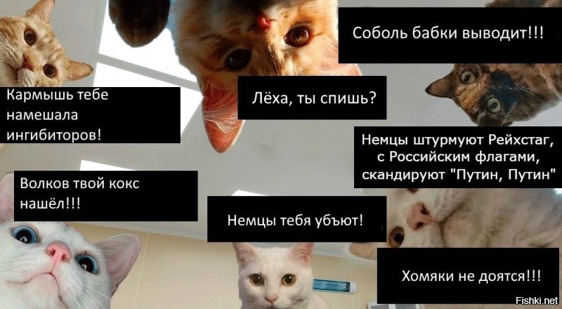 Политические комментарии из инета