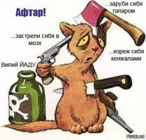 Прикольные и смешные картинки