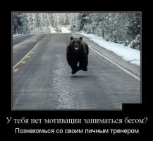 Прикольные и смешные картинки