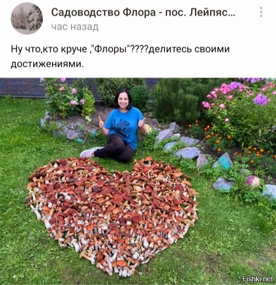 Соседнее садоводство, Лейпясуо, ленобласть. Недели 3 назад.