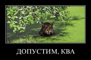 Прикольные и смешные картинки