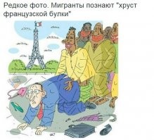Прикольные и смешные картинки