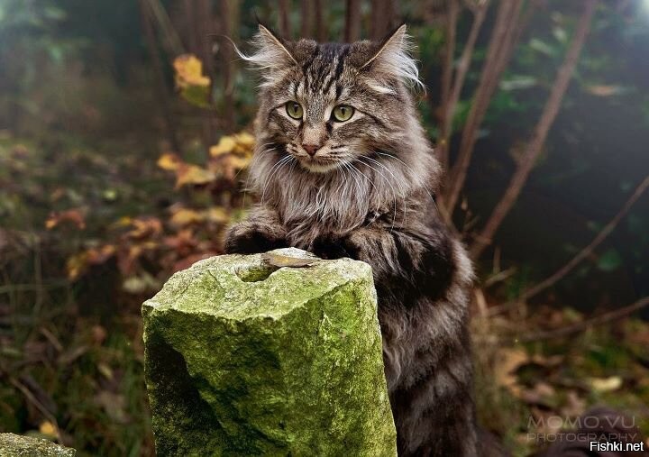 Солянка от 31.08.2020