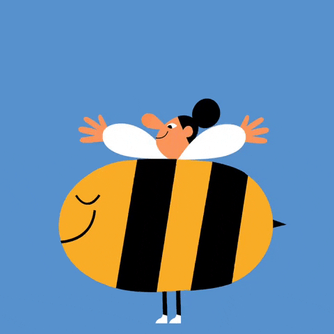 Солянка от 31.08.2020