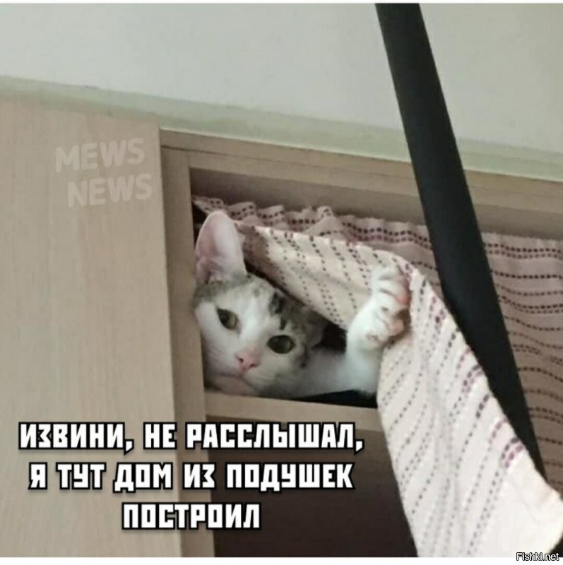 Солянка от 31.08.2020