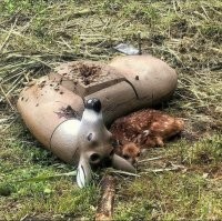 Очень эмоциональное фото