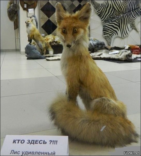 Солянка от 31.08.2020
