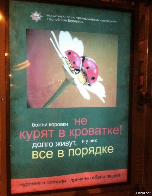 Солянка от 31.08.2020