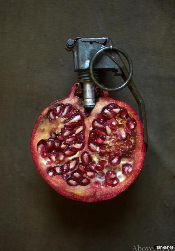 Солянка от 31.08.2020