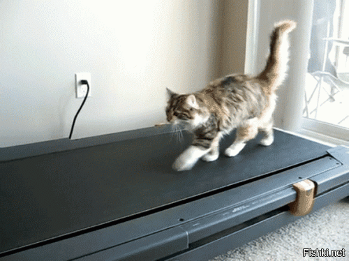 Вперед и с песней!