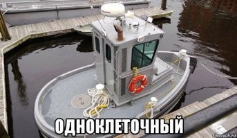 Как выглядит самый маленький корабль ВМС США