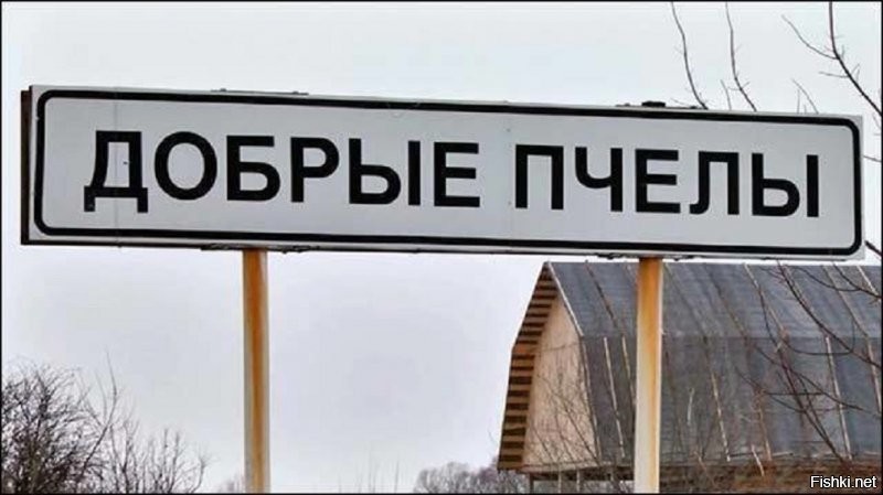 Добрые Пчёлы   село в Добро-Пчёльском сельском поселении Захаровского района Рязанской области России. Административный центр.