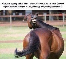 Прикольные и смешные картинки