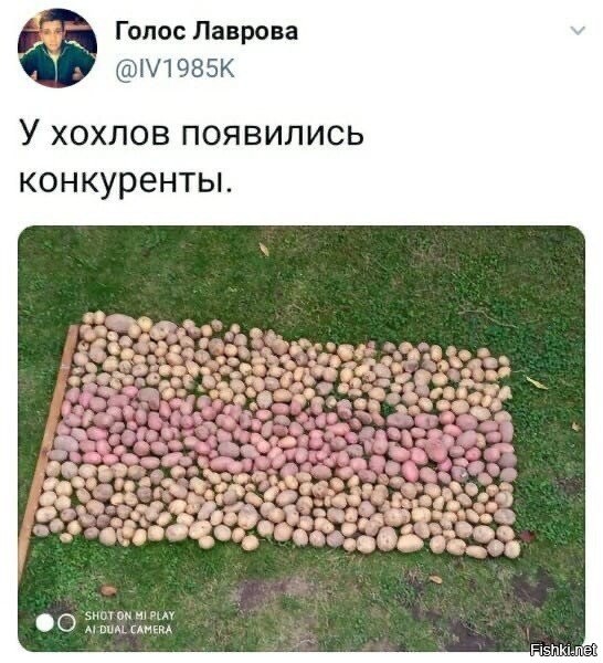 Когда замагарам предлагали флаг их картохи выложить. Мы же не знали, что они и правда выложат.