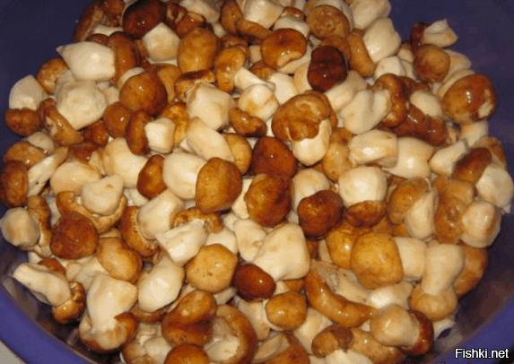 Солянка от 30.08.2020