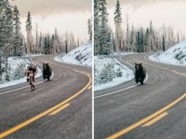 Это потому, что не было его в оригинале. Фотошоп рулит.