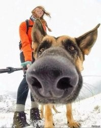 Никакого фотошопа, просто правильный ракурс