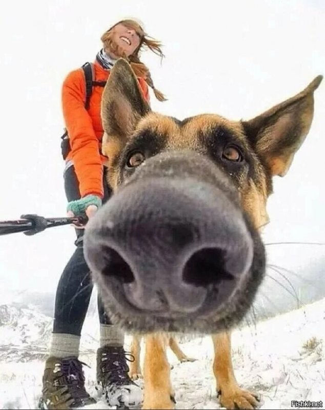 Никакого фотошопа, просто правильный ракурс