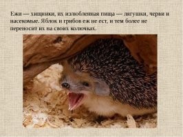 я тебе контрольный принес